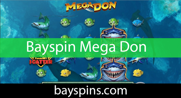 Bayspin mega don slotunu aktaran mekandır.